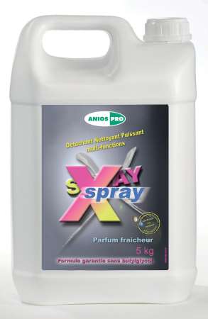 ANIOS X SPRAY DETACHANT NETTOYANT PUISSANT 5L